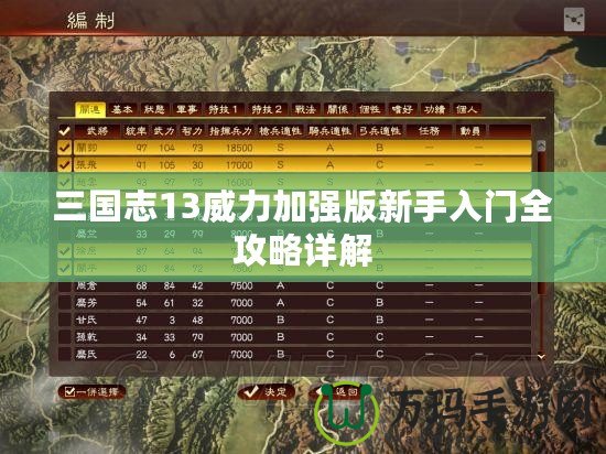 三國志13威力加強版新手入門全攻略詳解