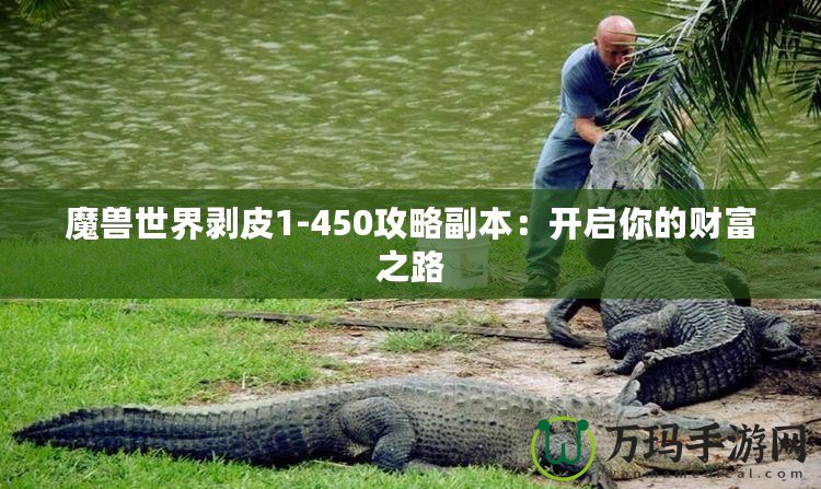 魔獸世界剝皮1-450攻略副本：開啟你的財(cái)富之路