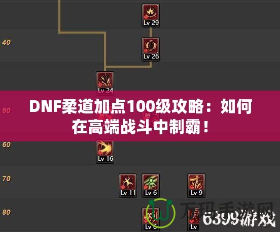 DNF柔道加點(diǎn)100級(jí)攻略：如何在高端戰(zhàn)斗中制霸！