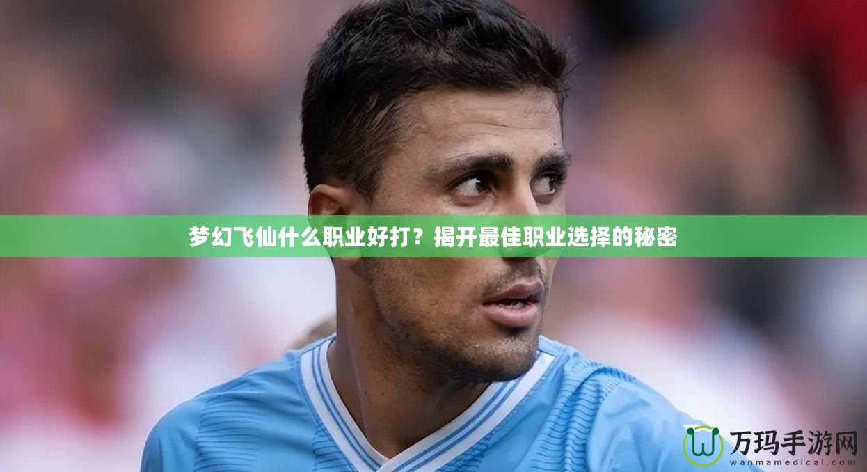 夢幻飛仙什么職業(yè)好打？揭開最佳職業(yè)選擇的秘密